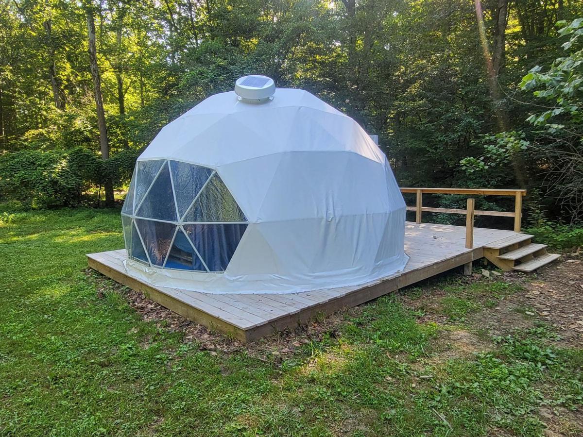 Harmony Tree Inc 5*